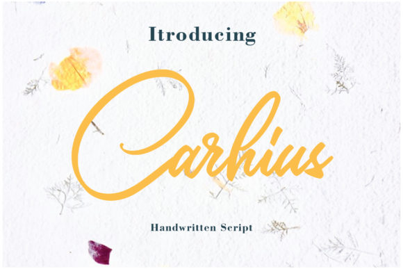 Carhius: A Flowing Script for Creative Campaigns