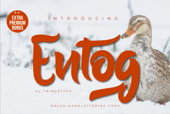 Entog: A Handwritten Font for Impactful Design