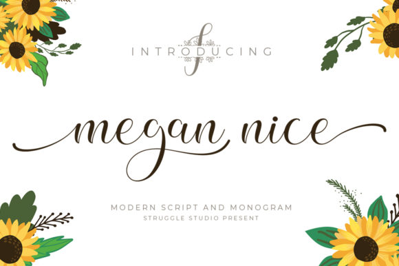 Megan Nice: A Font for Business Beauty
