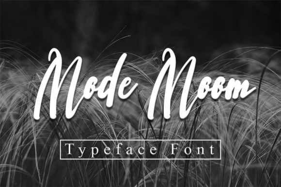 Mode Moon Font for Web Design