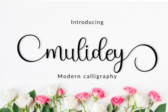 Mulidey: A Handwritten Font for Web Design