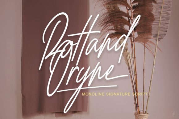 Rottand Oryne: A Script Amp Review