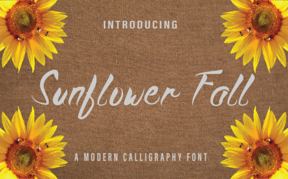 Sunflower Fall: A Script Font for Real Projects